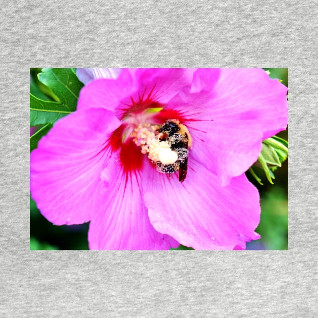 Bumble Bee Pollinating Pink Flower by 1Redbublppasswo